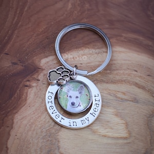 Forever in My Heart Pet Memorial Key Chain, Dog Loss Sympathy Gift, Pet Photo Necklace, Photo Keepsakes, Gift for Pet Lovers, Loss of Cat