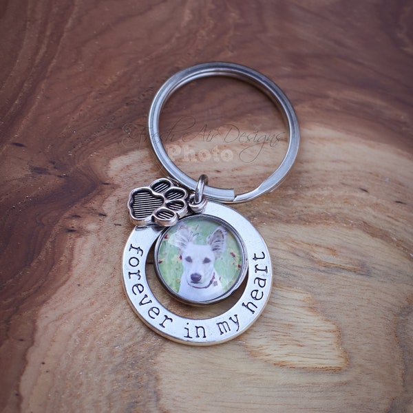 Forever in My Heart Pet Memorial Key Chain, Dog Loss Sympathy Gift, Pet Photo Necklace, Photo Keepsakes, Gift for Pet Lovers, Loss of Cat