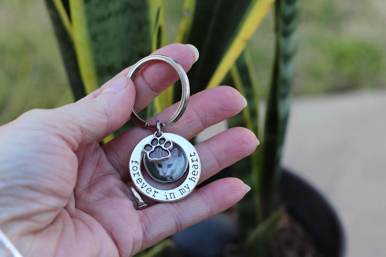 May include: A silver-colored keychain with a circular pendant featuring a cat photo. The pendant has a paw print design and the words "forever in my heart" around the cat's image. The keychain is held in a hand.