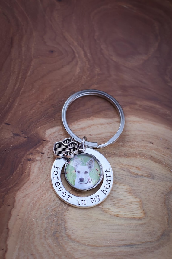 Forever in My Heart Pet Memorial Key Chain, Dog Loss Sympathy Gift, Personalized Pet Photo Keepsake, Gift for Pet Lovers, Loss of Cat