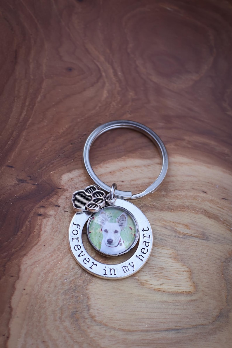 Forever in My Heart Pet Memorial Key Chain, Dog Loss Sympathy Gift, Personalized Pet Photo Keepsake, Gift for Pet Lovers, Loss of Cat image 1