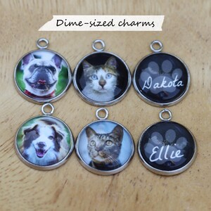 May include: Six dime-sized charms with pet portraits. The charms feature images of dogs and cats, with some including the pet's name. The charms have a silver-colored border and a loop for attaching to a necklace or keychain.