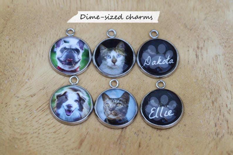 May include: Six dime-sized charms with pet portraits. The charms feature images of dogs and cats, with some including the pet's name. The charms have a silver-colored border and a loop for attaching to a necklace or keychain.