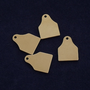 20 Stück Mini-Vieh-Tag-Stempelrohlinge - 1/2 "x 5/8" Ohrmarke Rohling 18 Gauge Messing Kuh Tag, Messing Rinder Tag, Haustier Name blank-10399250