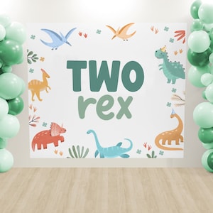 Two Rex Birthday Backdrop: Dinosaur 2nd Birthday Banner Decorations