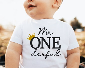 Mr ONEderful Birthday Shirt, Mr. ONEderful Shirt, Mr ONEderful Outfit, Matching Family 1st Birthday Shirts, Mr Onederful Mommy and Me Shirts
