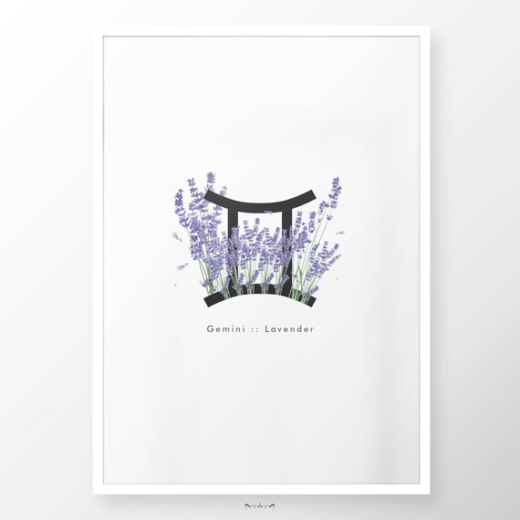 Lavender zodiac 60 photos - Astrologytoyou.com