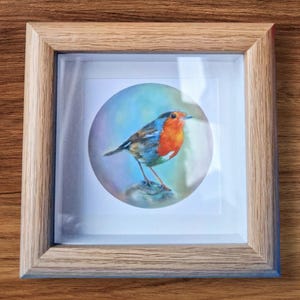 Miniature Robin Art Print, Framed Bird Artwork, Jess Harris Painting