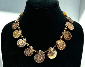 Ammonite Fossils and Tiger Eye Necklace