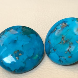 Turquoise indruk Jasper Earrings
