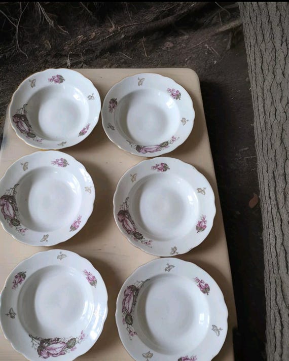 Beautiful set of six Russian earthenware soup plates with pretty floral and gilded decoration