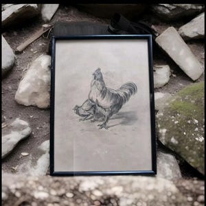 May include: A framed black and white drawing of two chickens. The larger chicken is standing with its wings spread, while the smaller chicken is sitting in front of it. The drawing is on a light brown background.