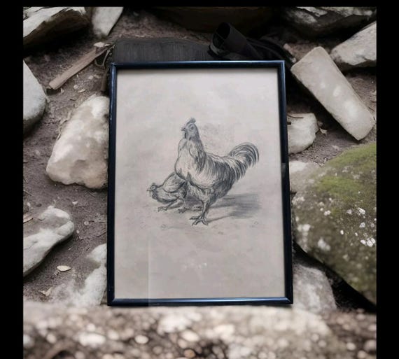Drawing of rooster and chicken framed under glass unsigned circa 1900 French painting