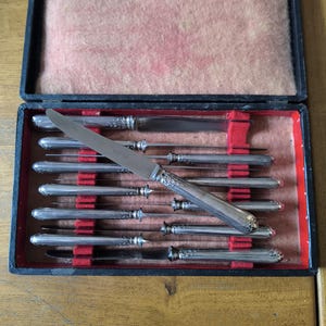 Könnte beinhalten: Ein Set silberner Messer in einem schwarzen Koffer mit rosa Innenraum. Die Messer sind in Reihen angeordnet und werden durch rote Samtteilungen gehalten. Der Koffer ist geöffnet und zeigt die verzierten Griffe und scharfen Klingen.