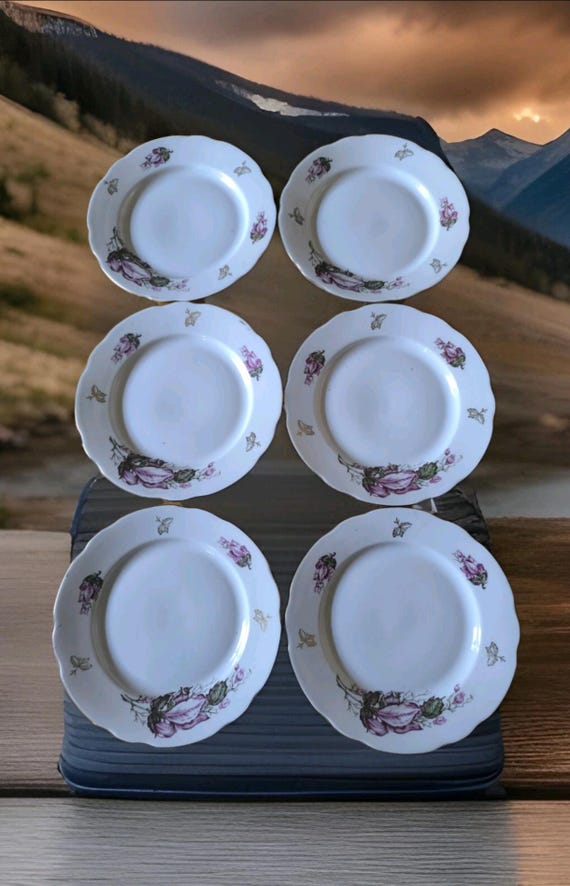 Beautiful set of six flat plates in Russian earthenware with pretty floral decoration and gilding number 2