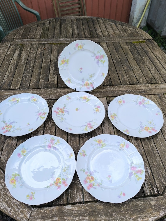 Charles Ahrenfeldt six flat plates Limoges porcelain floral decoration 1900/1915 French porcelain number 2