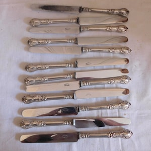 Philippe Berthier set of twelve fruit knives with silver-filled handles 1841-1851 neck brace hallmark