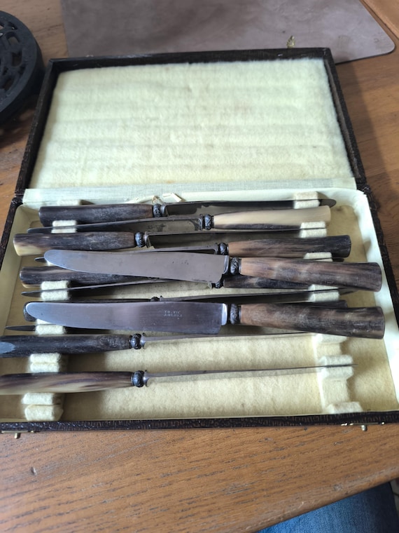 Case of twelve cheese knives, Ed Vie à Meaux, bovine horn handles