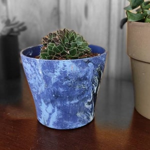 Puede incluir: Una pequeña planta suculenta en una maceta de cerámica marmoleada azul y blanca. La maceta tiene un patrón de espiral único.