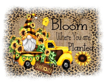 Sunflower Gnome Truck Sublimation Design (PNG Digital Download)