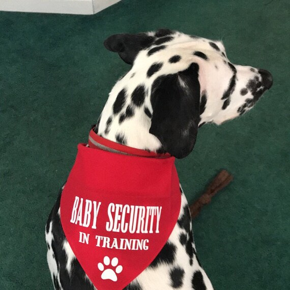 security dog bandana