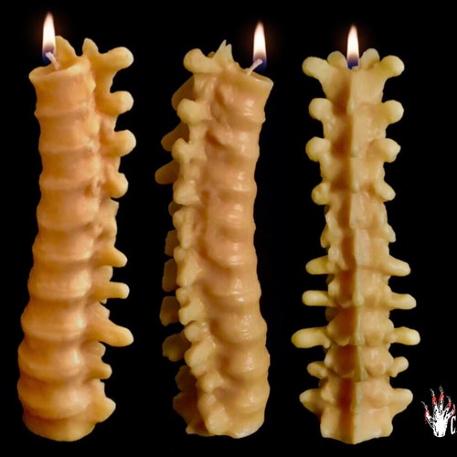Spine Candle - Halloween Candles - Creepy Candles - Halloween Decor - Fall Candle - Halloween Decorations - Horror Decor - Goth - Potter