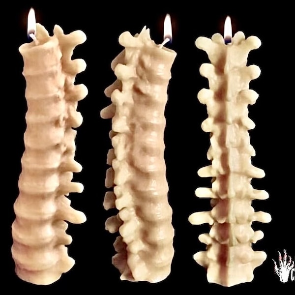 Spine Candle - Halloween Candles - Creepy Candles - Halloween Decor - Fall Candle - Halloween Decorations - Horror Decor - Goth - Birthday