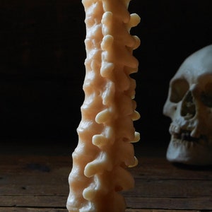 Spine Candle Halloween Candles Creepy Candles Halloween Decor Fall Candle Halloween Decorations Horror Decor Goth Birthday image 2