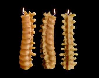 Spine Candle - Halloween Candles - Creepy Candles - Halloween Decor - Fall Candle - Halloween Decorations - Horror Decor - Goth - Birthday