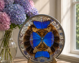 Plato con collage de alas de mariposa vintage – Decoración de pared natural azul y marrón auténtica