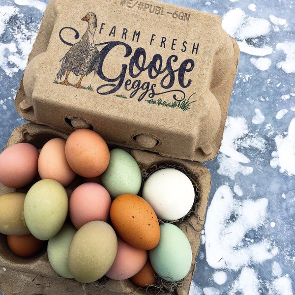 Goose Egg Cartons Color Printed Vintage Themed (set of 5 cartons) Holds 6 Eggs