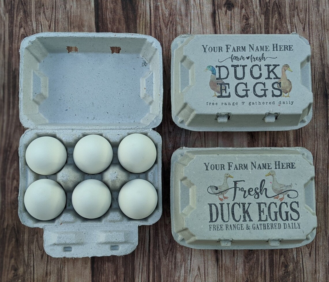 Duck Egg Cartons 12 Cell Vintage Themed with Color Printing Etsy