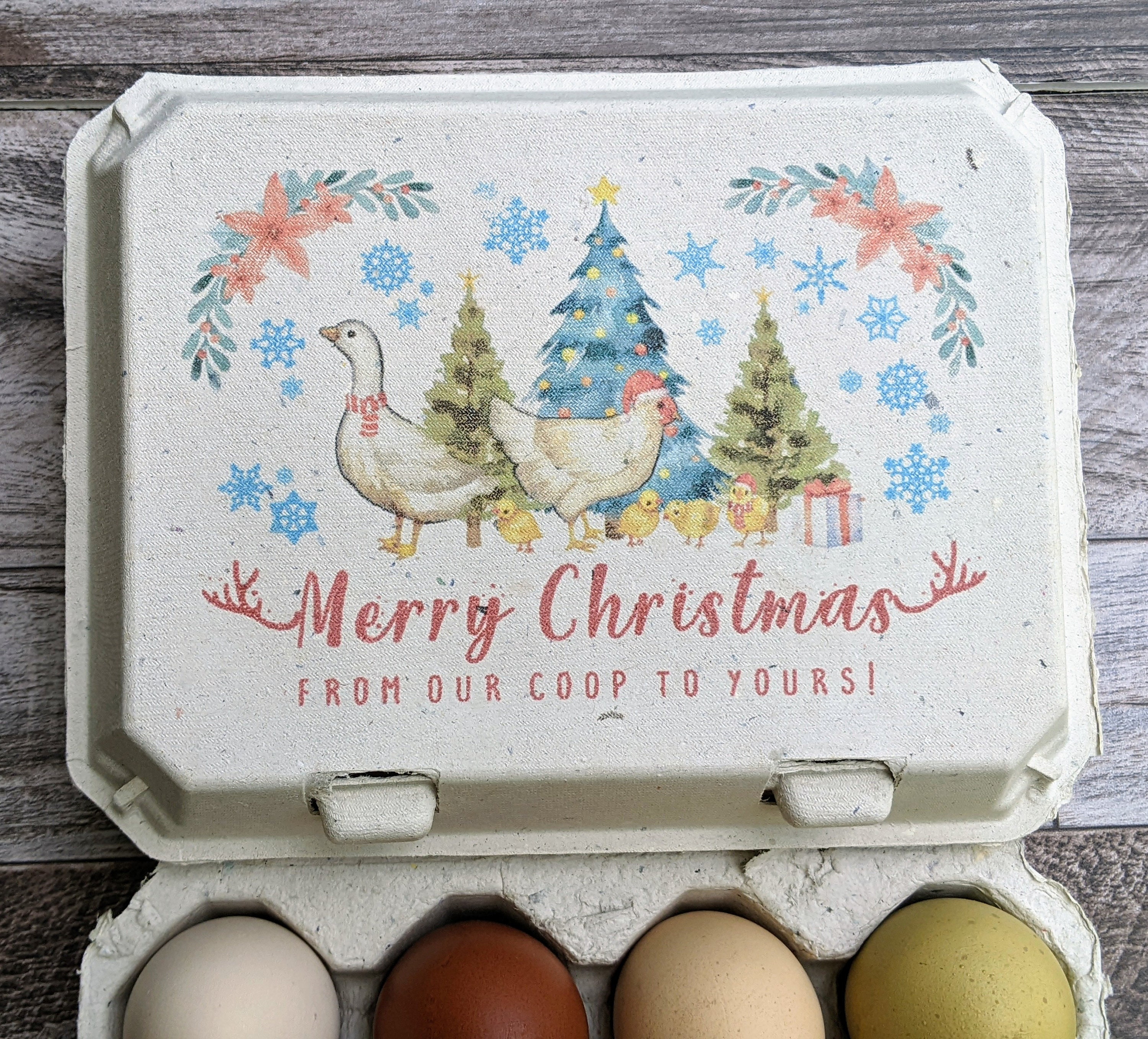 Vintage Chicken Egg Cartons (12 eggs)