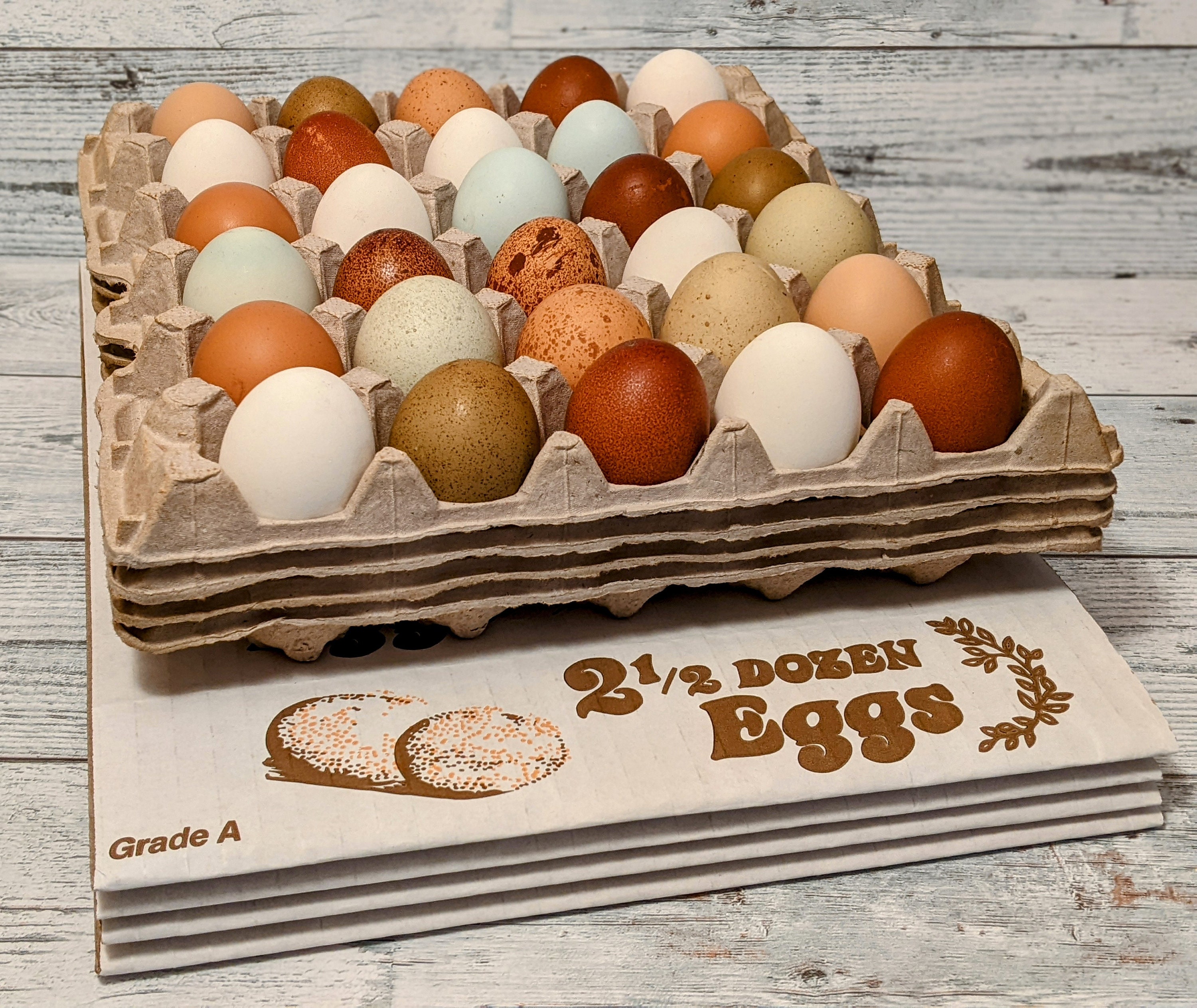 50 Pack Large Plastic Egg Cartons 1 Dozen Clear Duck Egg Cartons