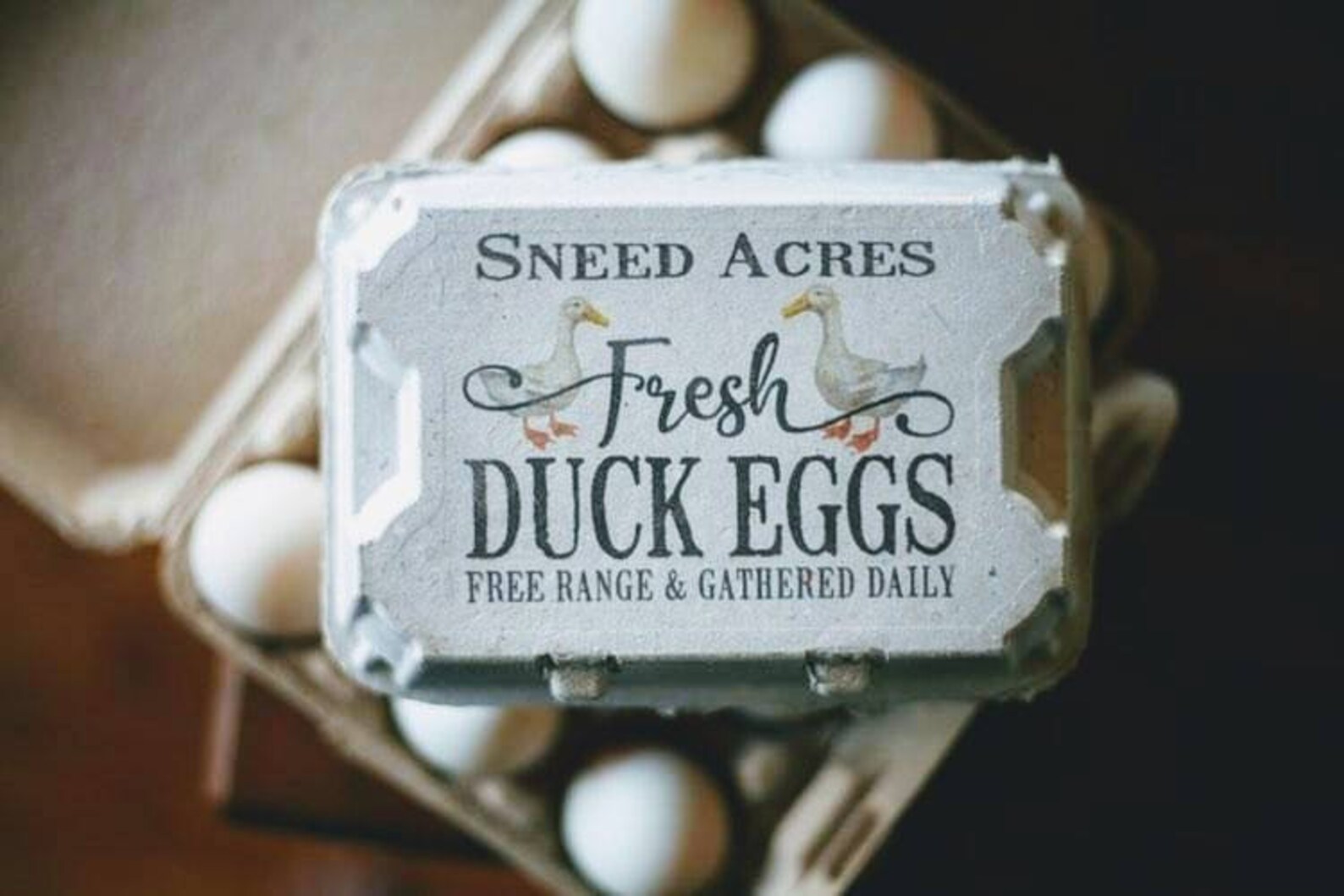 Duck Egg Cartons 12 Cell Vintage Themed with Color Printing Etsy