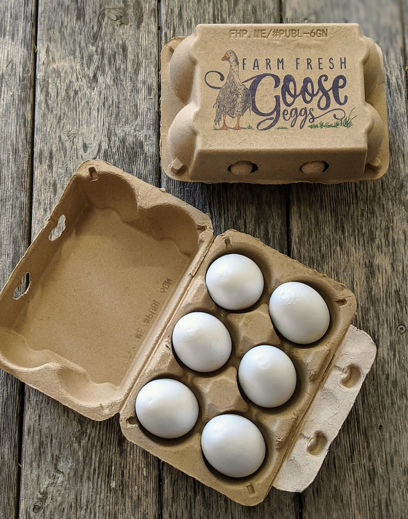 Goose Egg Cartons Color Printed Vintage Themed set of 5 Etsy