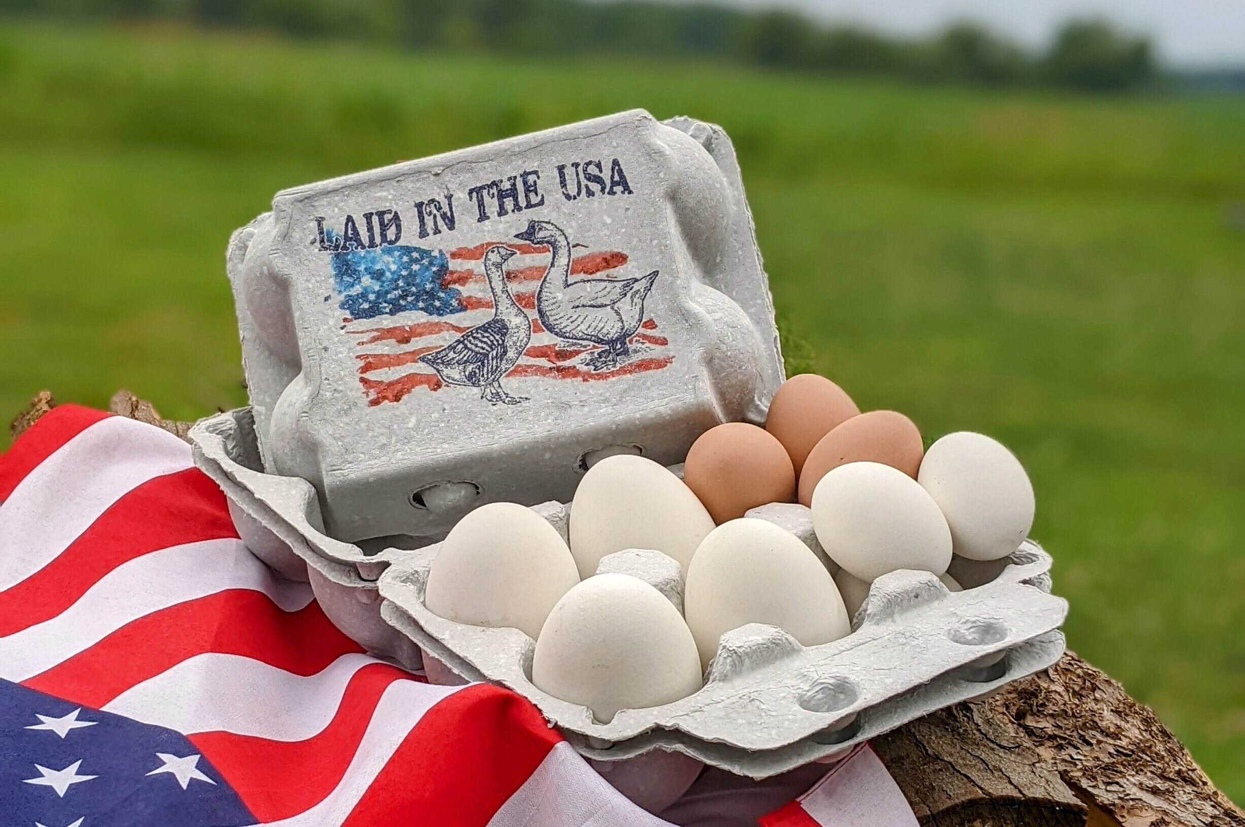 Goose Egg Cartons Color Printed Vintage Themed set of 5 Etsy