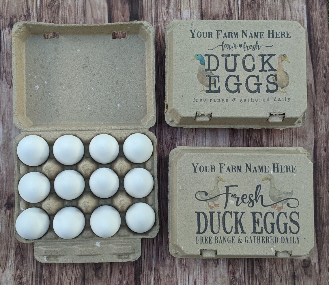 Duck Egg Cartons 12 Cell Vintage Themed with Color Printing Etsy