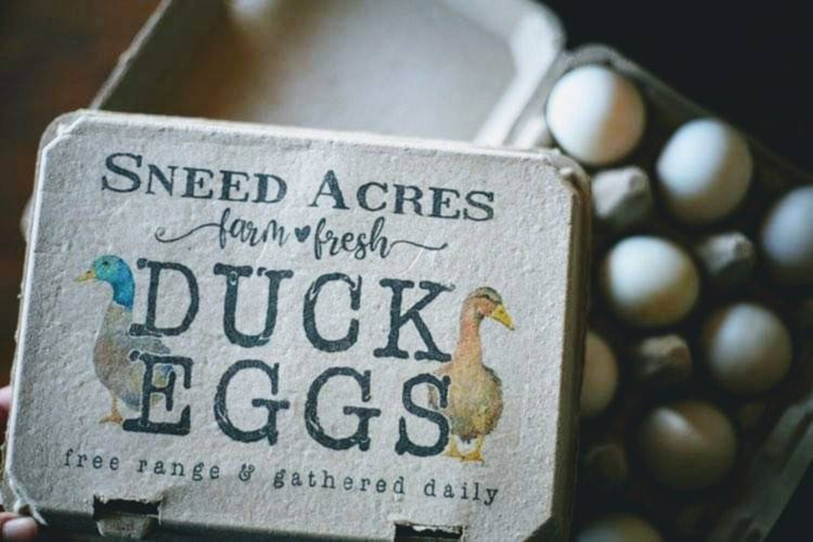 Duck Egg Cartons 12 Cell Vintage Themed With Color Printing Etsy