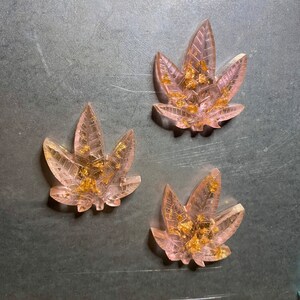 Golden peachy resin leaf magnet set