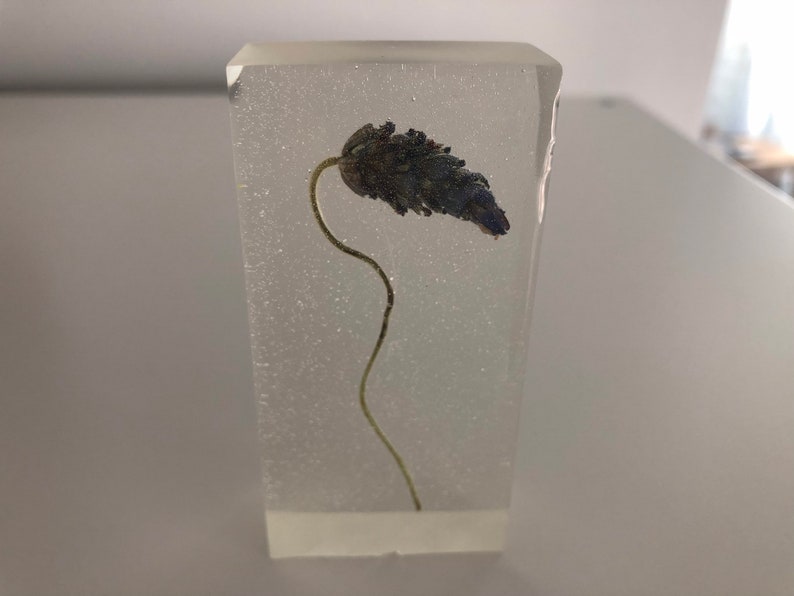 clear resin block