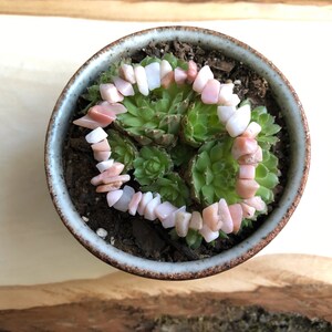 May include: A small terracotta pot with a succulent plant. A pink and white stone bracelet is arranged around the plant.