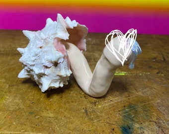 NSFW holographic un cut murex snail shell