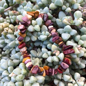 Mookaiet jaspis kralen kristallen armband *MADE TO ORDER*