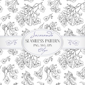 Jacaranda Blume Musterdesign: Schwarz-weiße Linie Kunst (SVG, PNG, EPS)