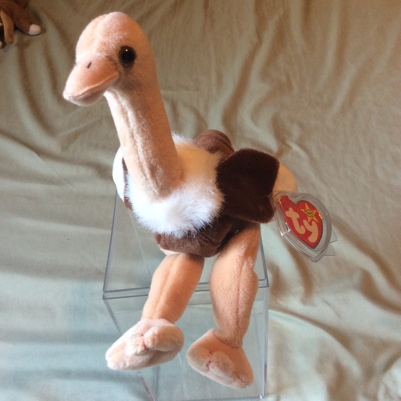 stretch the ostrich