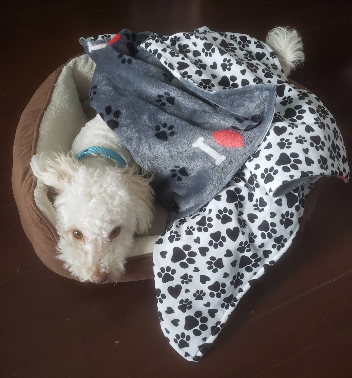 Security Blanket, Dog Blanket, Animal blanket, Lovey for Kids, Baby ...