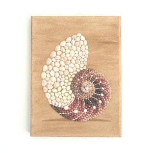 Nautilus Seashell in Seashell Mosaic & Sand Wall Art, Nautilus 3D Collage Beach House Decor, Ocean Art for Seashell Lovers, Natural Wall Art