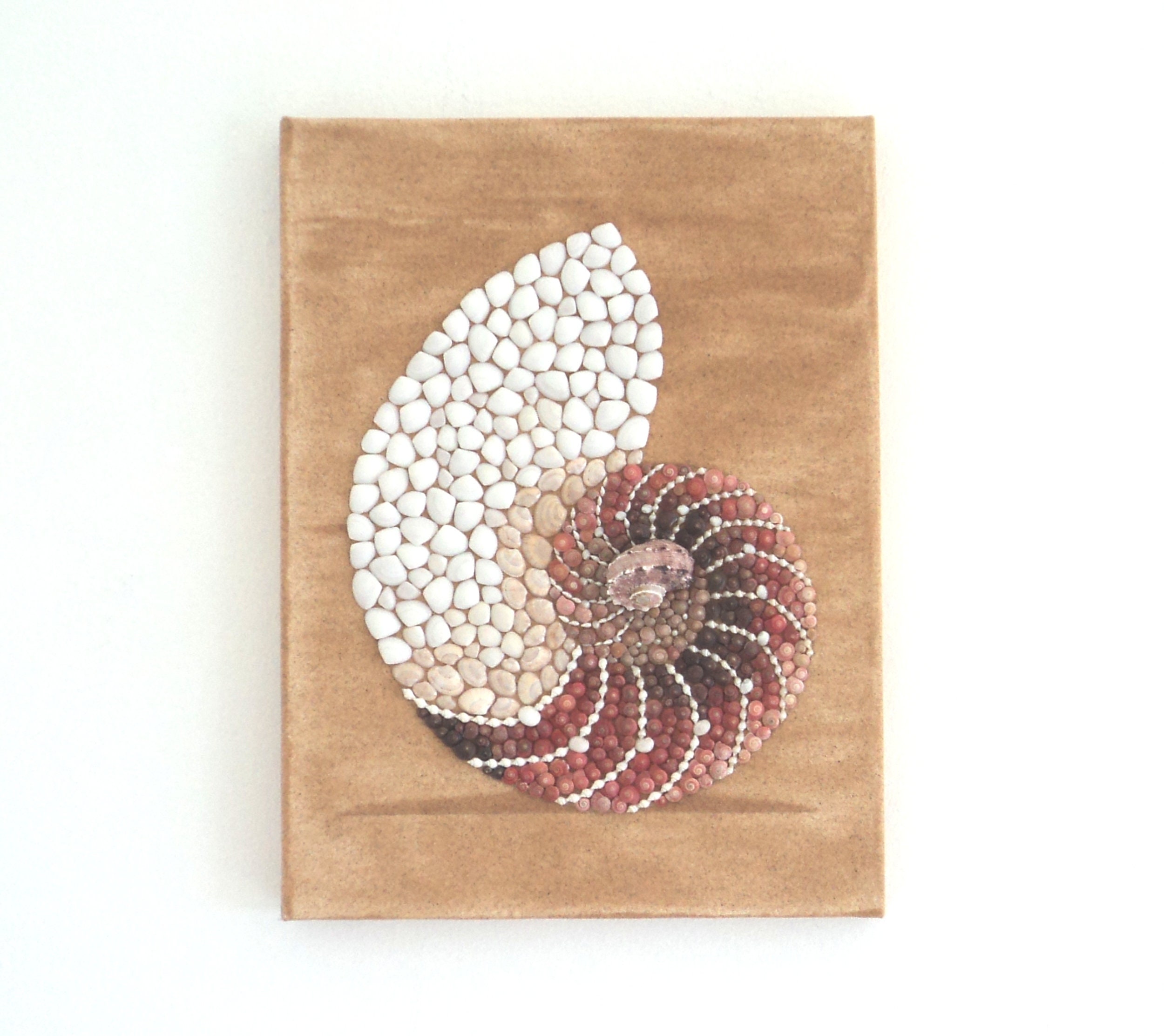 Nautilus Seashell In Seashell Mosaic Sand Wall Art Nautilus Etsy