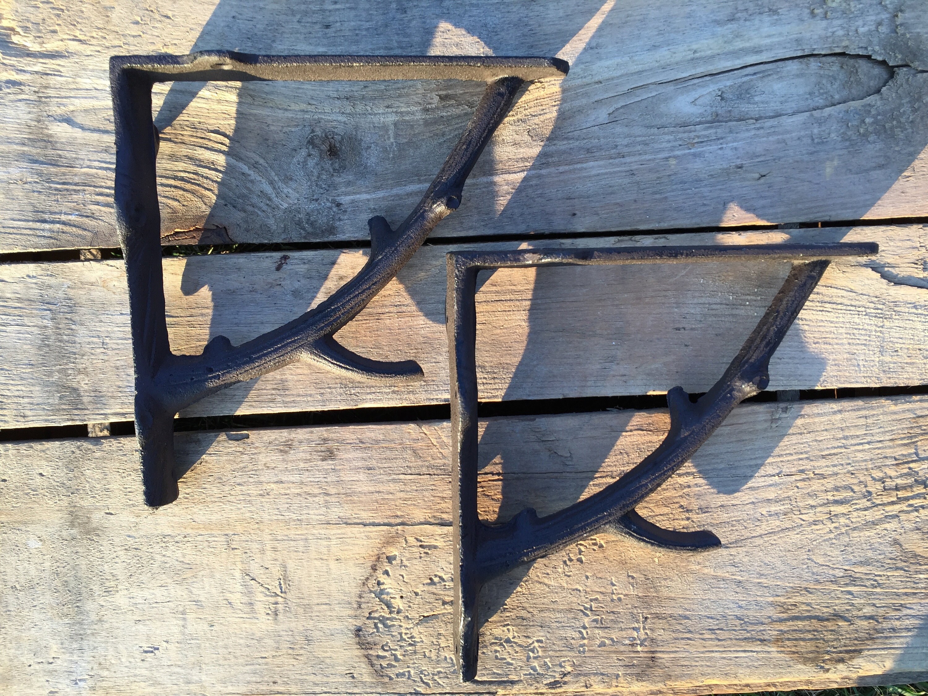 Pair of Large Tree Branch Shelf Brackets